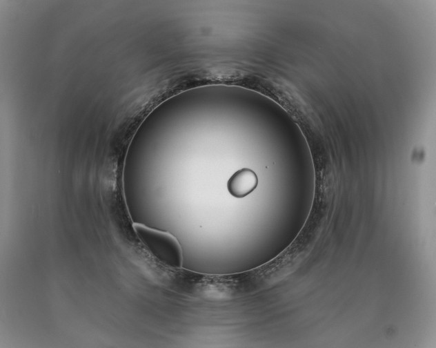 X0000090450368200707201318