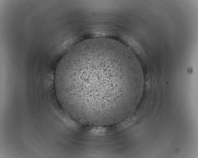 X0000090450369200707201318