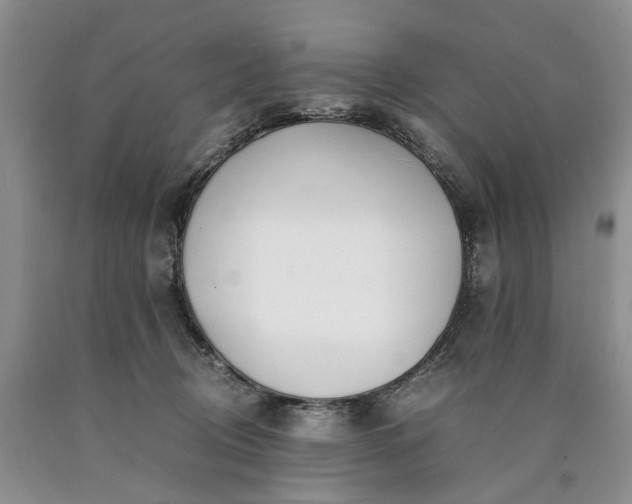 X0000090450370200707201318