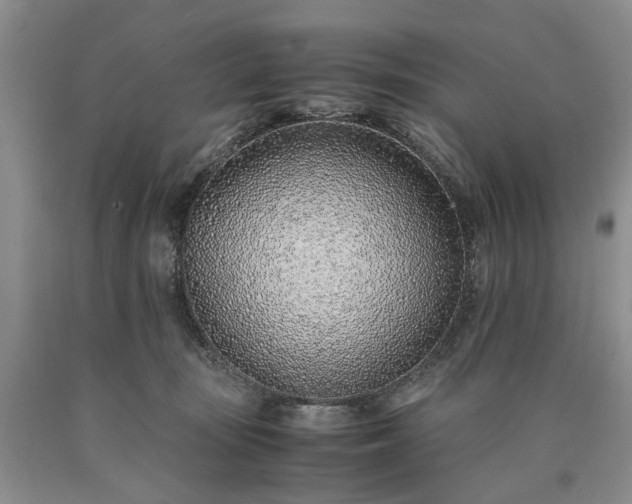 X0000090450371200707201318