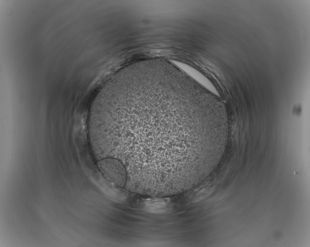 X0000090450373200707201318