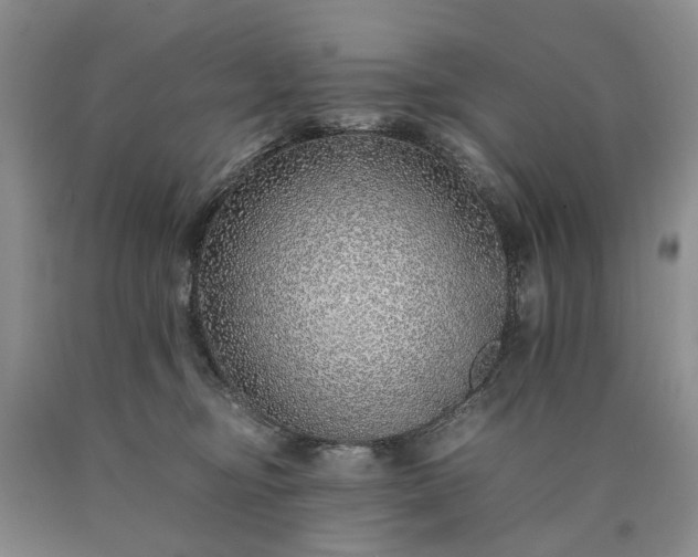 X0000090450374200707201318