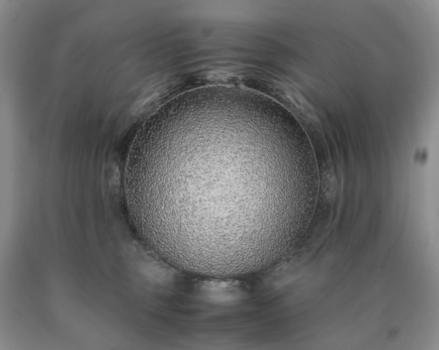 X0000090450375200707201318