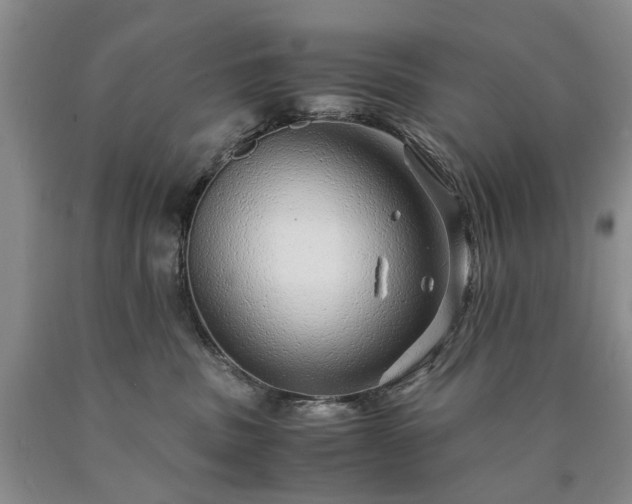 X0000090450379200707201319