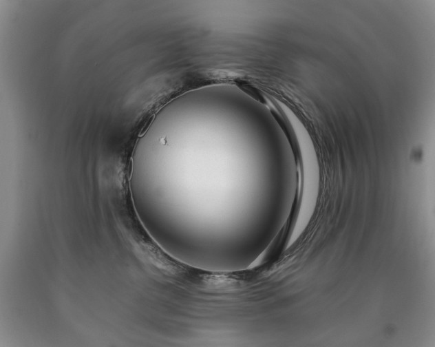 X0000090450380200707201319