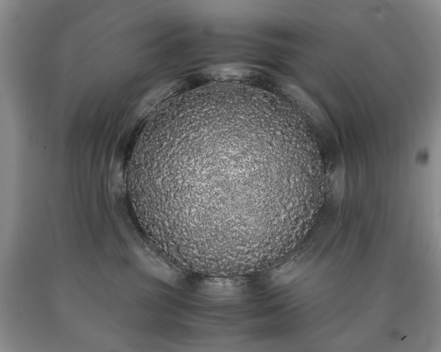 X0000090450381200707201319