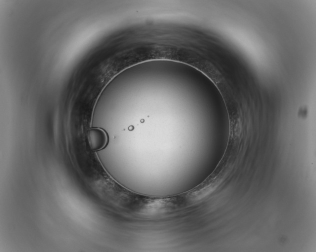 X0000090450382200707201319