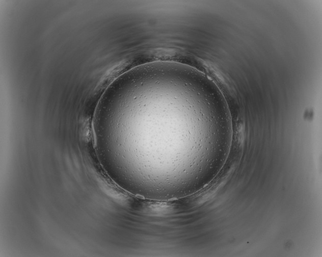 X0000090450383200707201319