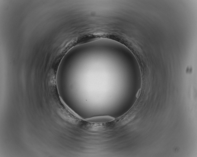 X0000090450384200707201319