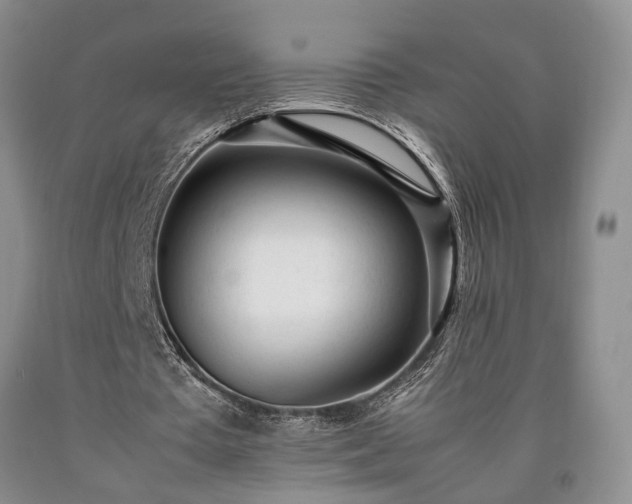 X0000090450385200707201318