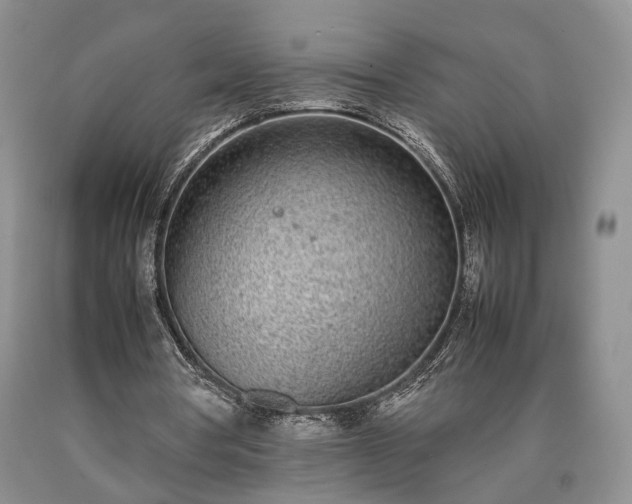 X0000090450386200707201318