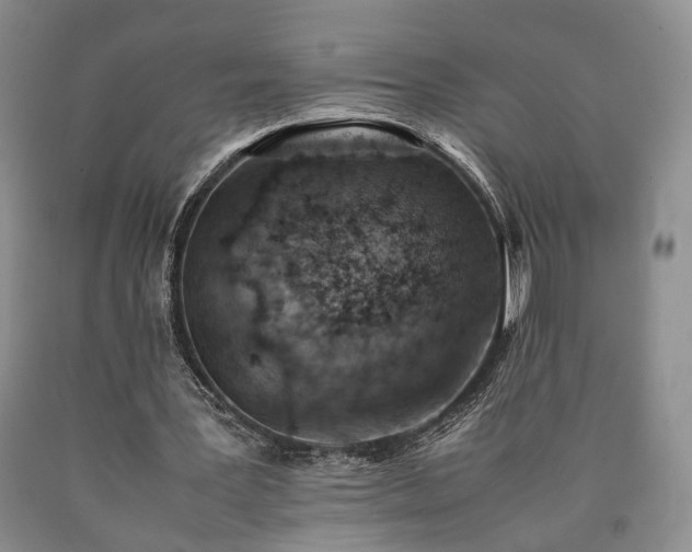 X0000090450387200707201318