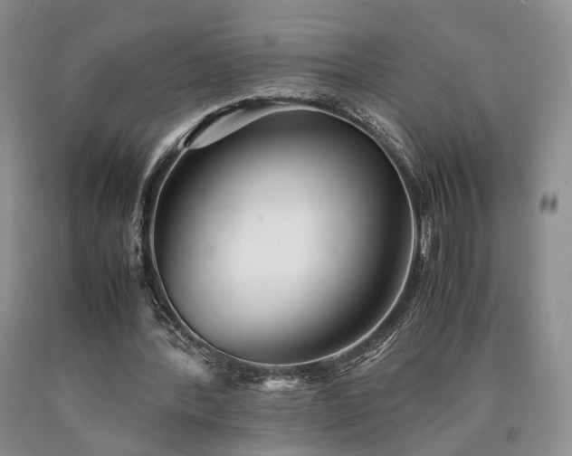 X0000090450388200707201318