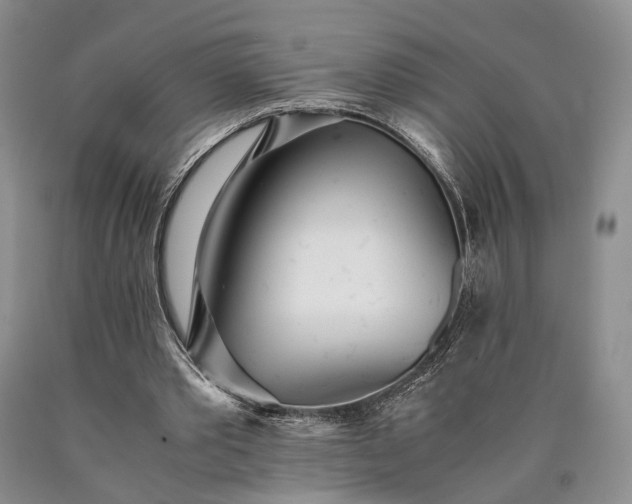 X0000090450389200707201318