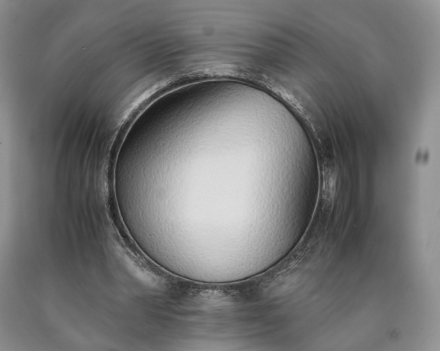 X0000090450390200707201318