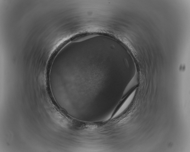 X0000090450391200707201318