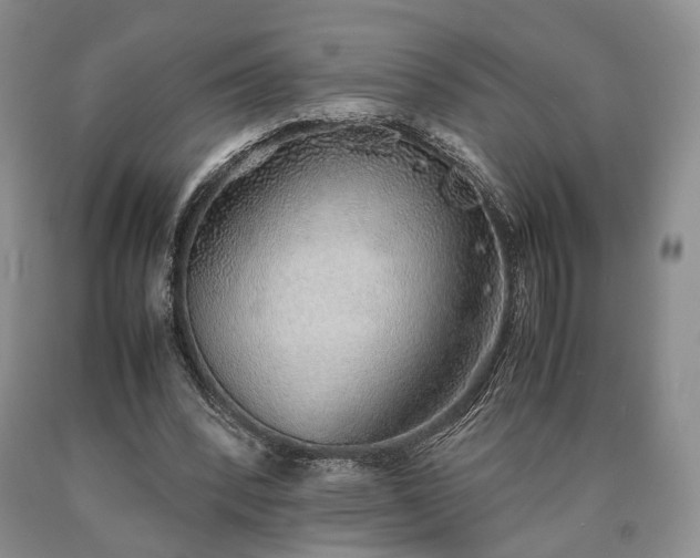 X0000090450392200707201318