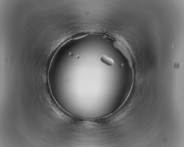 X0000090450393200707201318