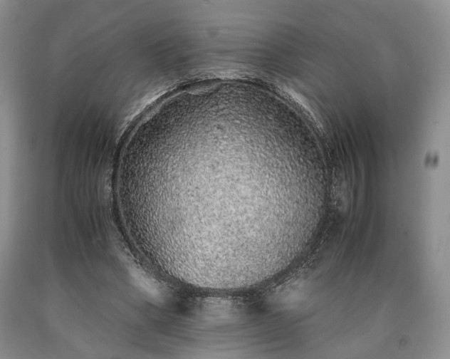 X0000090450394200707201318