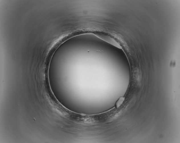 X0000090450395200707201318