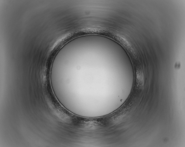 X0000090450396200707201318