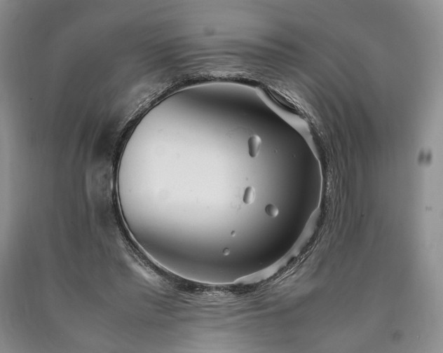 X0000090450397200707201318