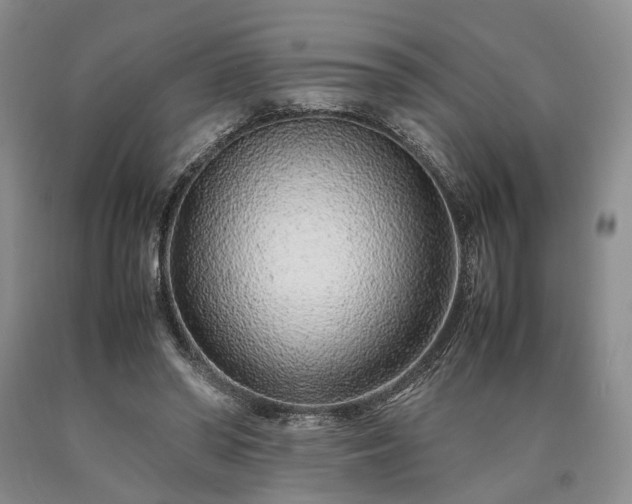 X0000090450398200707201318