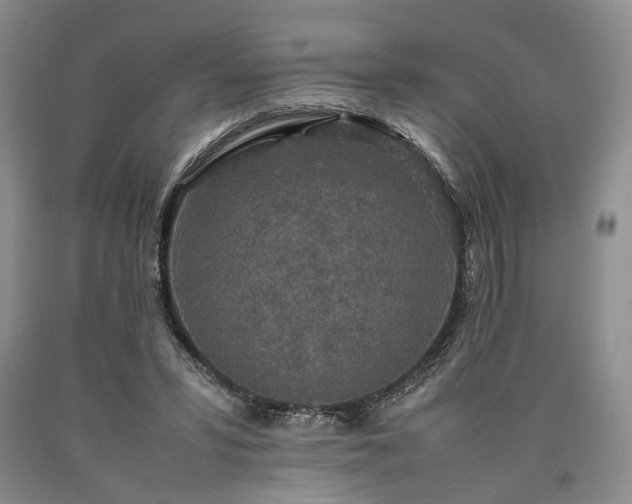 X0000090450399200707201318