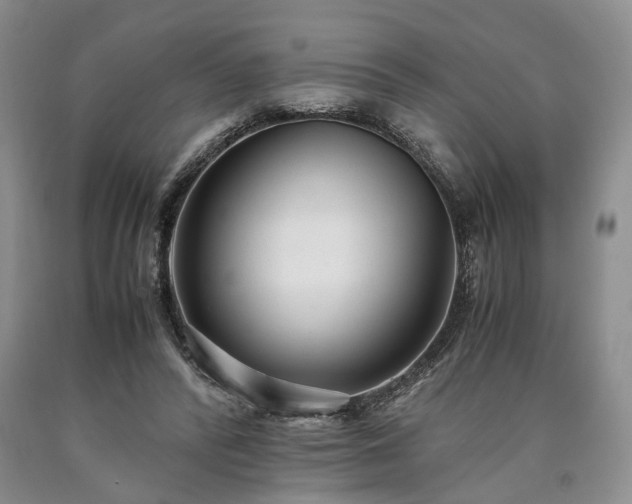 X0000090450400200707201318