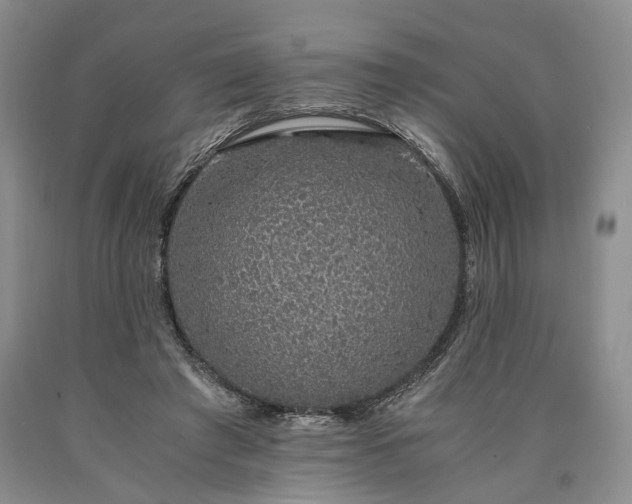 X0000090450401200707201318