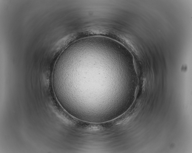 X0000090450402200707201318