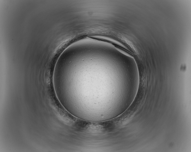 X0000090450403200707201318