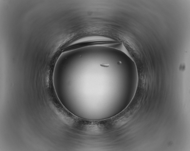 X0000090450404200707201318