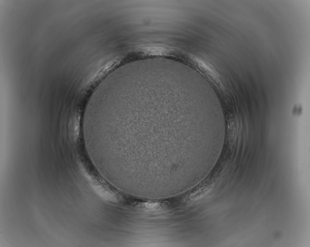 X0000090450406200707201318