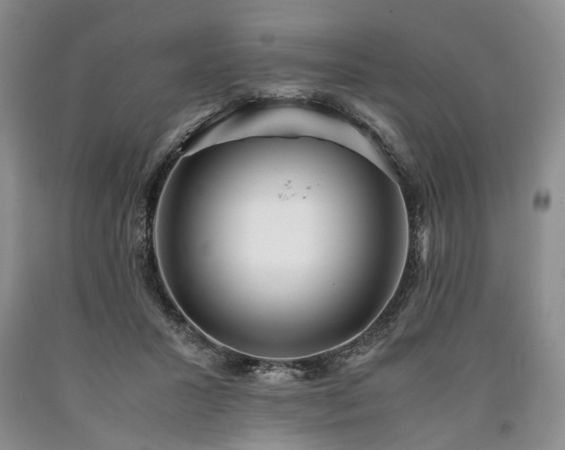 X0000090450407200707201318