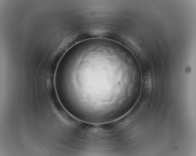 X0000090450408200707201318