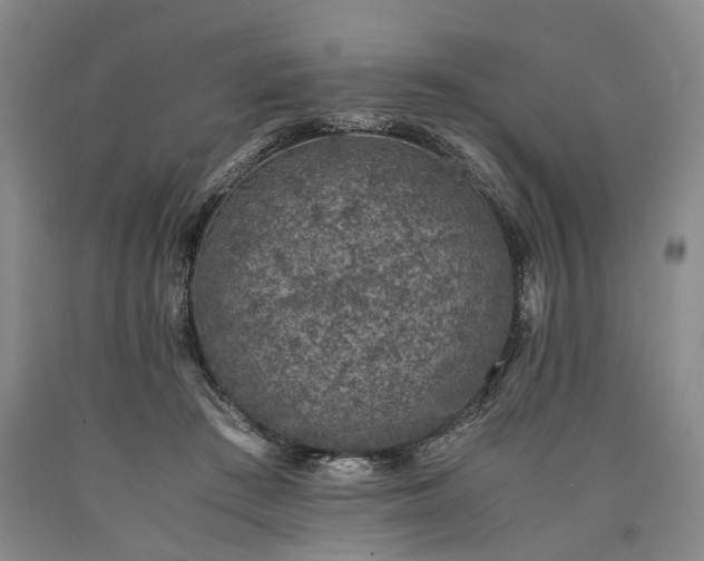 X0000090450409200707201318