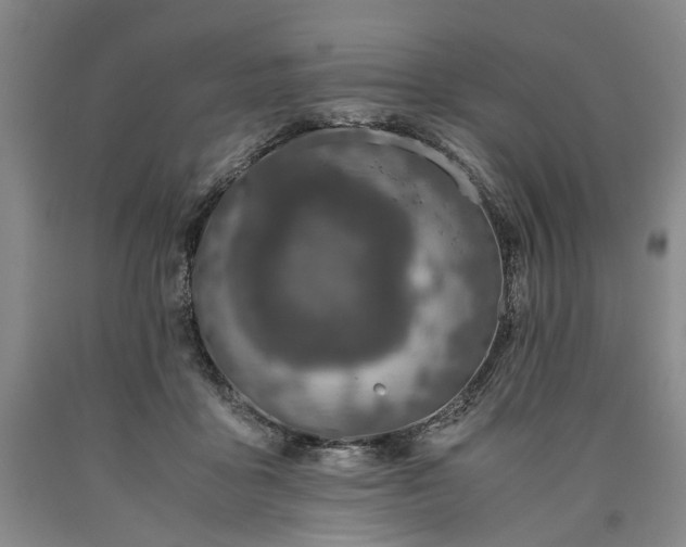 X0000090450411200707201318