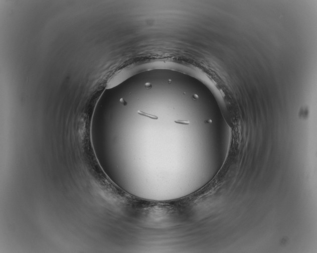 X0000090450412200707201318