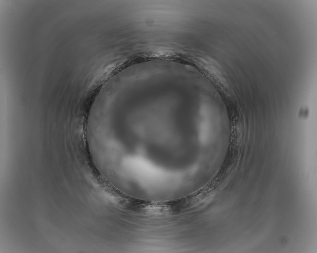 X0000090450415200707201318