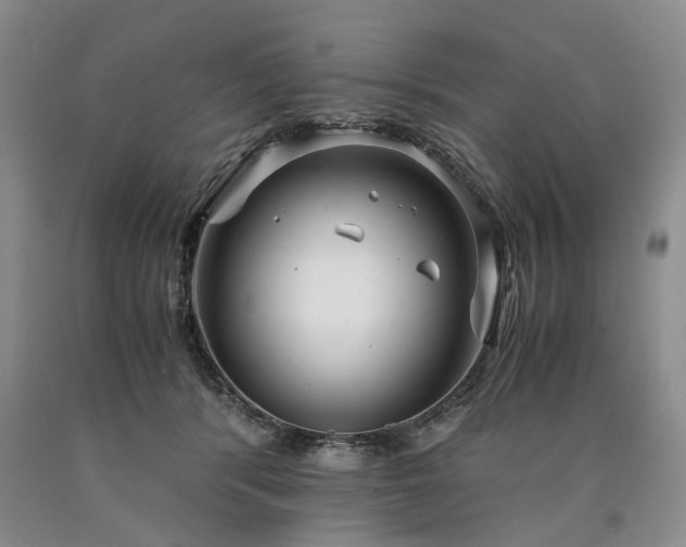 X0000090450416200707201318