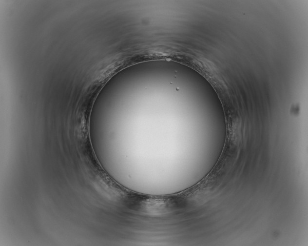 X0000090450418200707201318