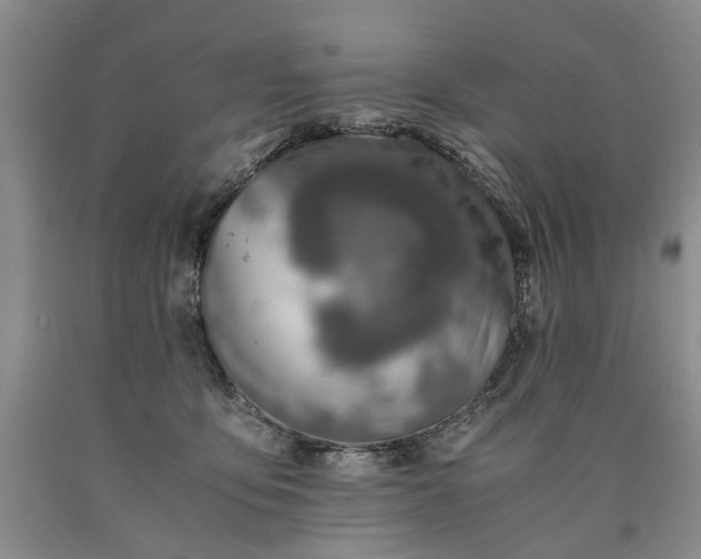 X0000090450419200707201318