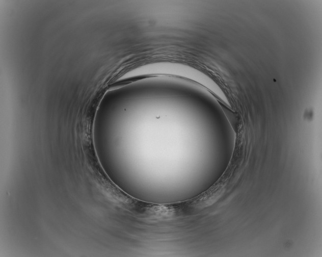 X0000090450421200707201318