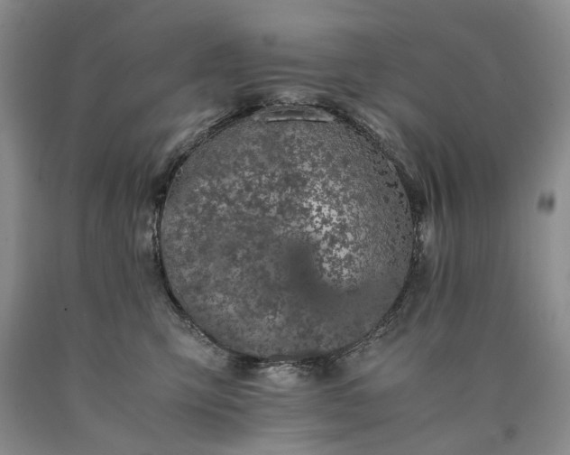 X0000090450423200707201318