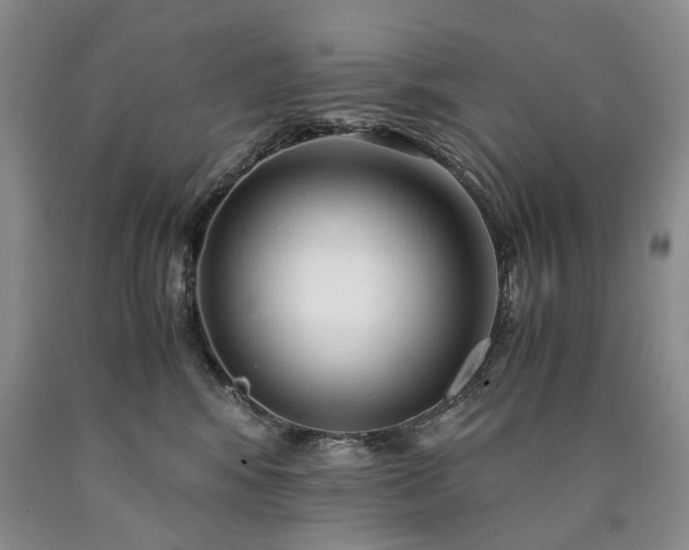 X0000090450424200707201317