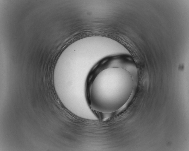 X0000090450425200707201317