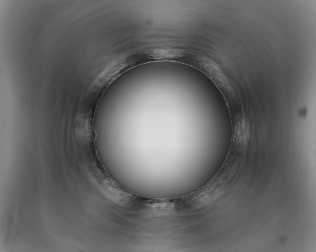 X0000090450426200707201317