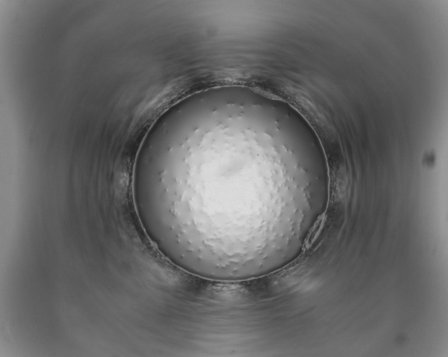 X0000090450427200707201317