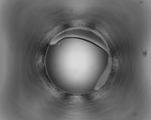 X0000090450428200707201317